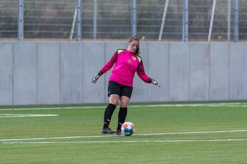 Bild 239 - F Oberliga Saisonstart